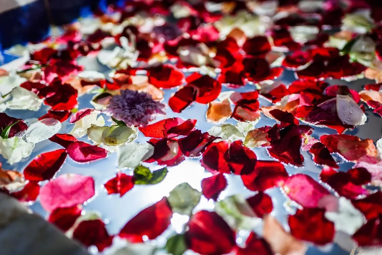 Riad Rcif Alif Suite & Spa Fes